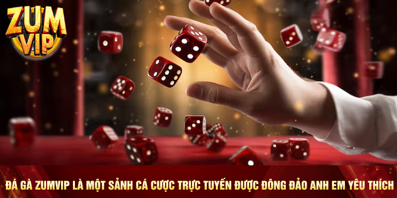 Đá gà Zumvip là một sảnh cá cược trực tuyến được đông đảo anh em yêu thích