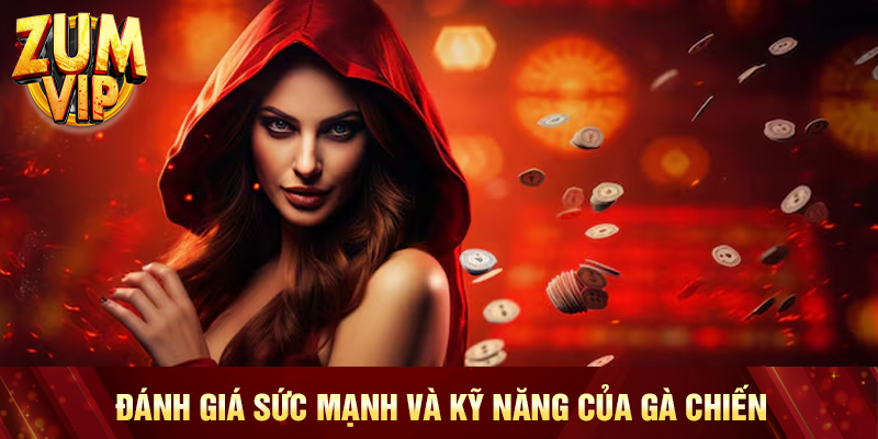 Đánh giá sức mạnh và kỹ năng của gà chiến